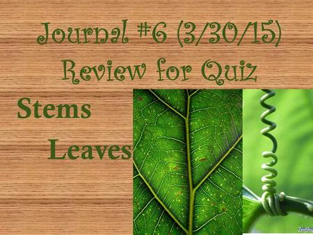 Journal #6 (3/30/15) Review for Quiz Stems Leaves.