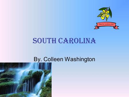 South carolina By. Colleen Washington. what borders my state? North Carolina Goergia Atlantic Ocean.
