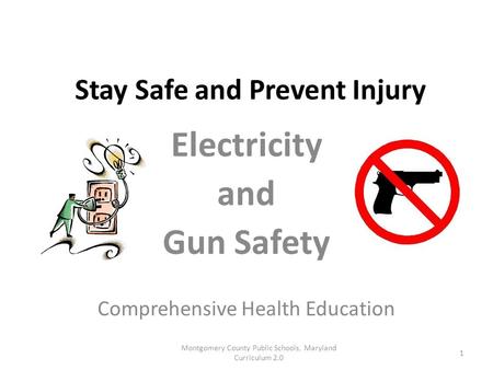 Stay Safe and Prevent Injury Electricity and Gun Safety Comprehensive Health Education Montgomery County Public Schools, Maryland Curriculum 2.0 1.
