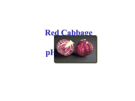 Red Cabbage as a pH Indicator Red Cabbage as a pH Indicator.
