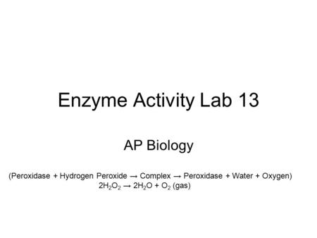Enzyme Activity Lab 13 AP Biology