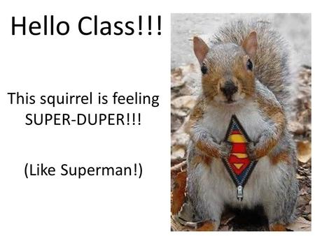 Hello Class!!! This squirrel is feeling SUPER-DUPER!!! (Like Superman!)