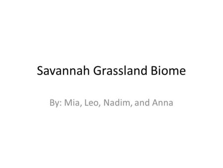 Savannah Grassland Biome By: Mia, Leo, Nadim, and Anna.