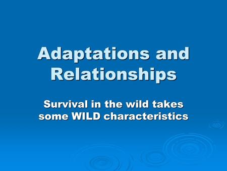 Adaptations and Relationships