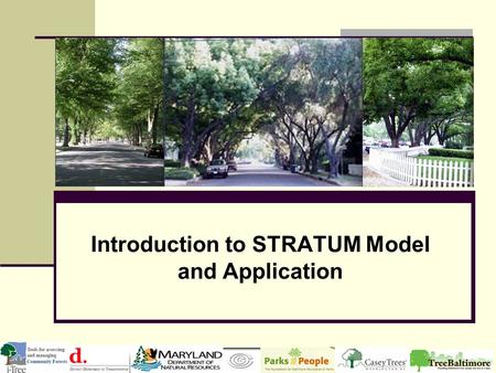 Introduction to STRATUM Model and Application. What makes STRATUM different? Street trees, not entire urban forest Costs, not only benefits Management.