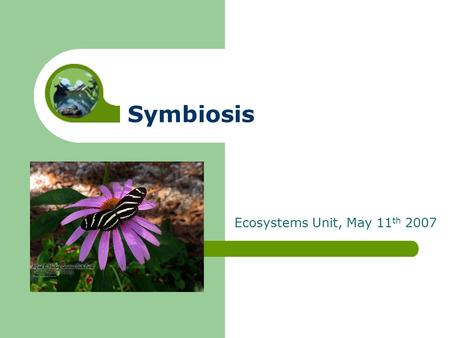 Symbiosis Ecosystems Unit, May 11 th 2007. Symbiosis *Symbiosis is a close relationship between two species where at least one species benefits. *3 types.