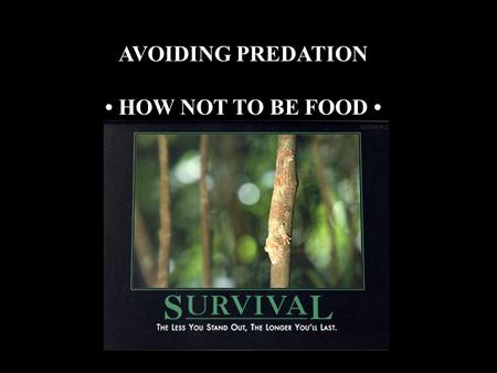 AVOIDING PREDATION HOW NOT TO BE FOOD. Avoiding Predation Blue petrelBrown Skua.