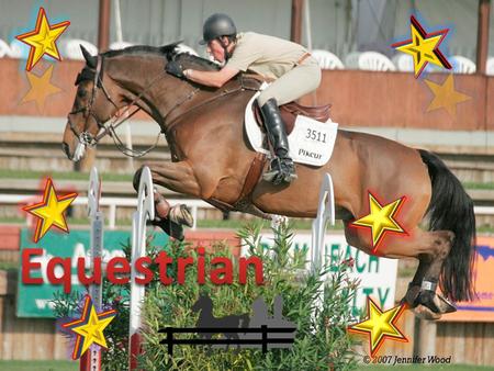 An equestrian is someone who rides horses. Its professionally called equestrianism. Competitive horse riders are the ones we call equestrian but really.