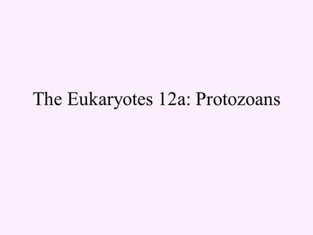 The Eukaryotes 12a: Protozoans. Eukaryotes in general cells chromosomes made of chromatin cell division: mitosis & cytokinesis (if) sexual reproduction.