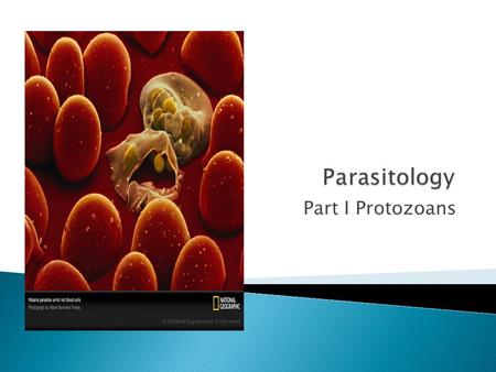 Part I Protozoans. Parasitism: Two organisms living together One benefits from the relationship at the expense of the other.