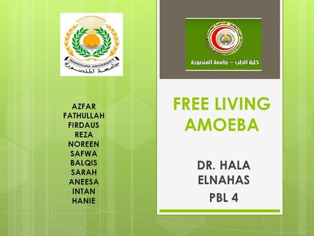 FREE LIVING AMOEBA DR. HALA ELNAHAS PBL 4 AZFAR FATHULLAH FIRDAUS REZA NOREEN SAFWA BALQIS SARAH ANEESA INTAN HANIE.