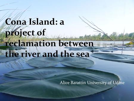 Cona Island: a project of reclamation between the river and the sea Alice Barattin University of Udine.