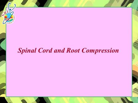 Spinal Cord and Root Compression