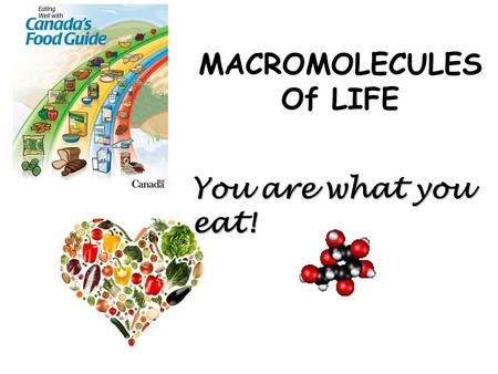 MACROMOLECULES Of LIFE You are what you eat!. Why Do We Eat?  For energy  For nutrients  For pleasure? NUTRIENTS: needed by all organisms for 1. __________.