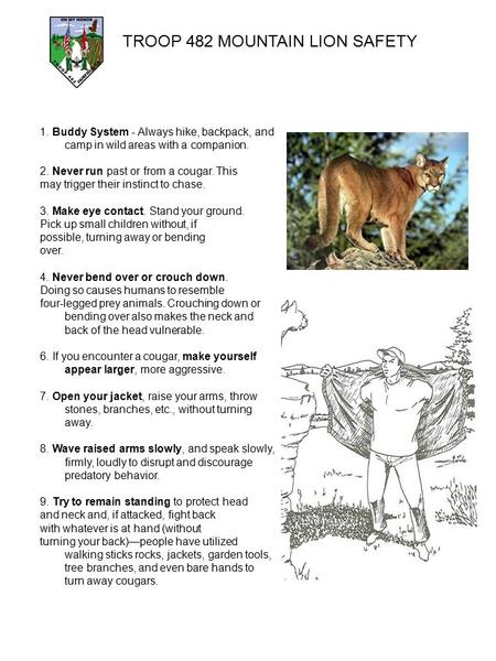 TROOP 482 MOUNTAIN LION SAFETY 1. Buddy System - Always hike, backpack, and camp in wild areas with a companion. 2. Never run past or from a cougar. This.