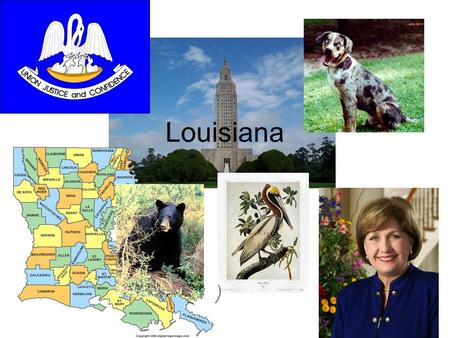 Louisiana. Flag In the flag there is a group of pelicans It is white and gold (the flag) It also has the state motto “Union, Justice, and Confidence”