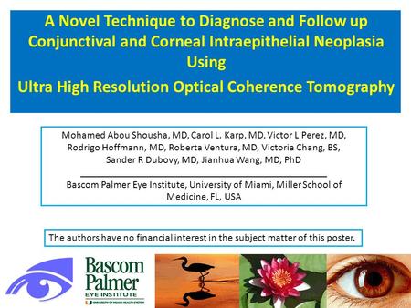 A Novel Technique to Diagnose and Follow up Conjunctival and Corneal Intraepithelial Neoplasia Using Ultra High Resolution Optical Coherence Tomography.