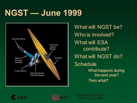 NGST — June 19991 What will NGST be? Who is involved? What will ESA contribute? What will NGST do? Schedule What happens during the next year? Then what?