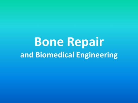 Bone Repair and Biomedical Engineering. Repairing Bones: Overview Some serious breaks need the aid of engineers because: – Need to restore function and.