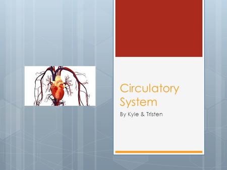Circulatory System By Kyle & Tristen. How Does Blood Circulate?  Your body has structures and systems that serve special functions.  The circulatory.