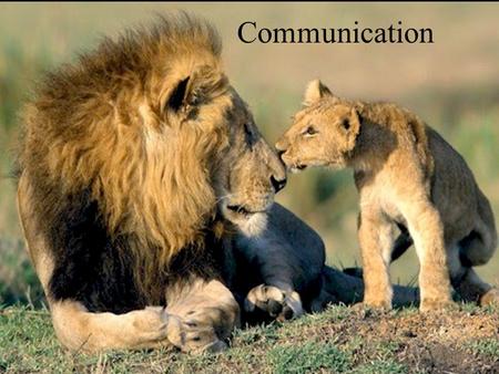 Communication. Definition Action on the part of one organism that alters the probability pattern of behaviour of another organism in a way that may or.