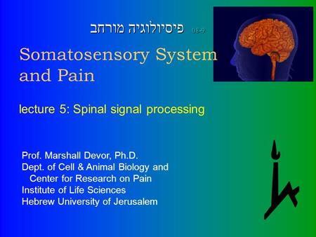 Somatosensory System and Pain Prof. Marshall Devor, Ph.D. Dept. of Cell & Animal Biology and Center for Research on Pain Institute of Life Sciences Hebrew.