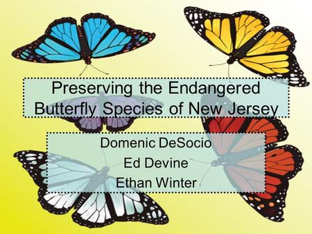 Preserving the Endangered Butterfly Species of New Jersey Domenic DeSocio Ed Devine Ethan Winter.