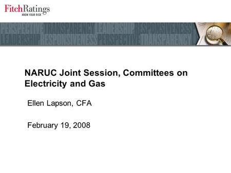 NARUC Joint Session, Committees on Electricity and Gas Ellen Lapson, CFA February 19, 2008.
