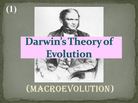 (Macroevolution) (1). Developed the theory of evolution by observing animals on the Galapagos Islands Wrote a book Origin of Species to describe his theory.