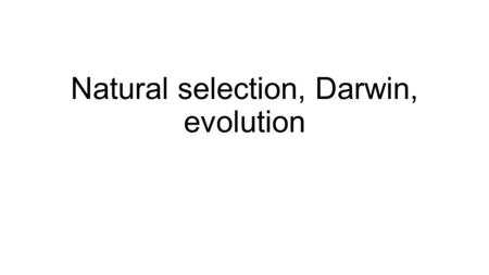Natural selection, Darwin, evolution. Read over Darwin’s Theory pages 172-179 Title: Darwin’s theory key concepts and terms Copy key terms(definitions)