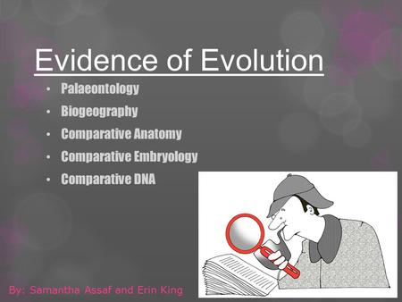 Evidence of Evolution Palaeontology Biogeography Comparative Anatomy Comparative Embryology Comparative DNA By: Samantha Assaf and Erin King.