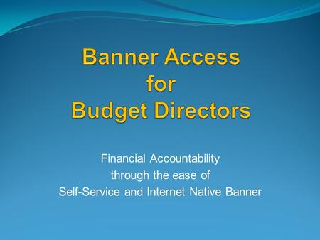 Financial Accountability through the ease of Self-Service and Internet Native Banner.