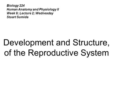 Biology 224 Human Anatomy and Physiology II Week 9; Lecture 2; Wednesday Stuart Sumida Development and Structure, of the Reproductive System.