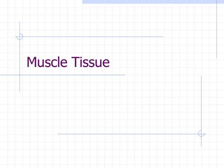 Muscle Tissue. Myology The scientific study of muscles.