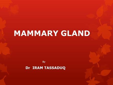 MAMMARY GLAND By Dr IRAM TASSADUQ. INTRODUCTION  Mammary Glands exist in both sexes.  Rudimentary in males throughout life  Start developing at puberty.