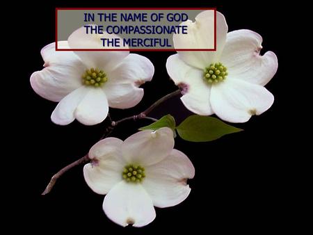 IN THE NAME OF GOD THE COMPASSIONATE THE MERCIFUL