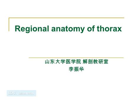 Regional anatomy of thorax