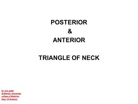 POSTERIOR & ANTERIOR TRIANGLE OF NECK