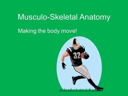 Musculo-Skeletal Anatomy Making the body move!. Goals Important muscle groups to know Review muscle functions, types, and general anatomy In-depth look.