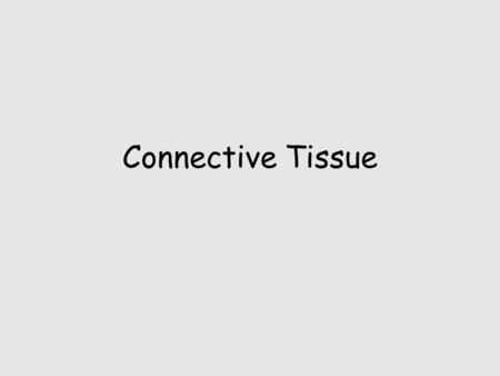 Connective Tissue. 4 Types of Tissue Epithelial Connective Muscle Neural.
