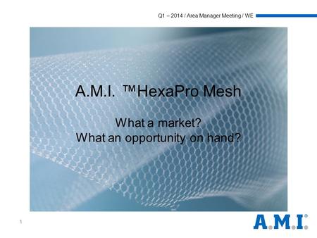Q1 – 2014 / Area Manager Meeting / WE 1 A.M.I. ™HexaPro Mesh What a market? What an opportunity on hand?