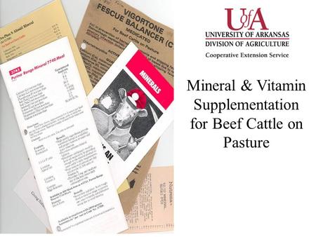 Mineral & Vitamin Supplementation for Beef Cattle on Pasture.