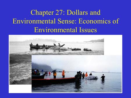 Chapter 27: Dollars and Environmental Sense: Economics of Environmental Issues.