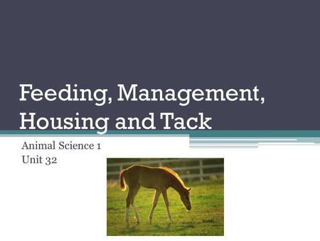 Feeding, Management, Housing and Tack Animal Science 1 Unit 32.