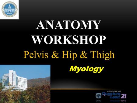 Anatomy Workshop Pelvis & Hip & Thigh Myology.