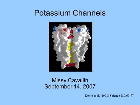Doyle et al. (1998) Science 280:69-77 Missy Cavallin September 14, 2007 Potassium Channels.