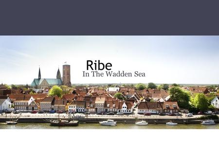 Ribe In The Wadden Sea. Peter’s Christmas Experience old fashion christmas in Ribe. 1st december! Small plays around the city. Who’s Peter?