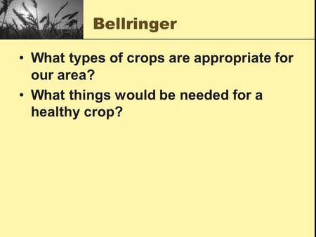 Bellringer What types of crops are appropriate for our area? What things would be needed for a healthy crop?