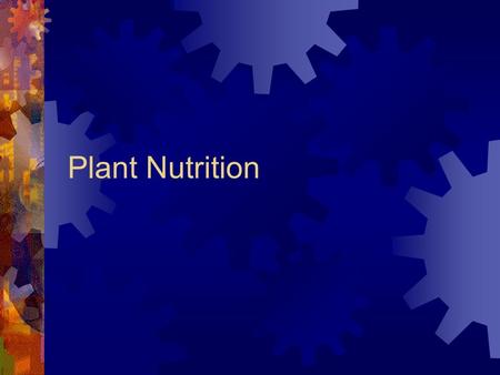 Plant Nutrition. What happens to the nutrients taken in by the plant?  90% of water is lost in transpiration; functions as a solvent; keeps cells turgid;