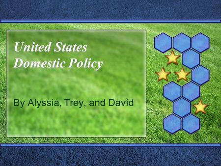 United States Domestic Policy By Alyssia, Trey, and David.